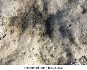 Some small quartz crystals on a limestone rock