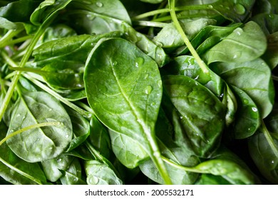 Some Spinach From Vegeterian Shop