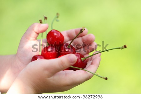 Similar – Foto Bild Kinderhand hällt frische Johannisbeeren