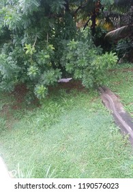 Some are technology and sciencce production why other are enviroment materials 