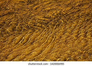 Some texture of macro nature