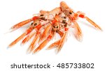 Some uncooked langoustines isolated on white background. Nephrops L.
