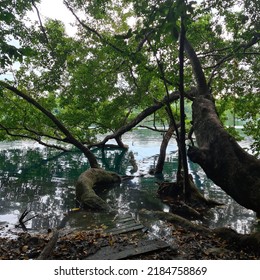 Some Views Of The Lagoon Bacalar Quintana Roo