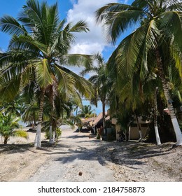 Some Views Of The Lagoon Bacalar Quintana Roo