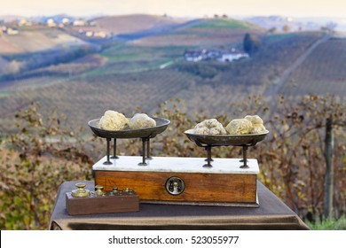 Some white truffles on the vintage scales, in the background hills with vineyards in autumn Langhe Piedmont Italy