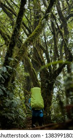 someone is in the forest using a backpack