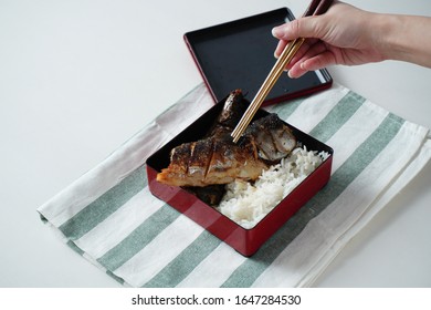 Someone Hand Using Chopsticks Trying To Pick A Grilled Saba Or Mackerel Fish Served With Cooked Rice In Square Bento Box On White And Green Striped Placemat On White Table