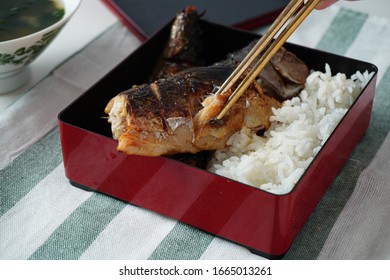 Someone Hand Using Chopsticks Trying To Pick A Grilled Saba Or Mackerel Fish Served With Cooked Rice In Square Bento Box On White And Green Striped Placemat On White Table