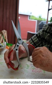 someone has scissors in hand