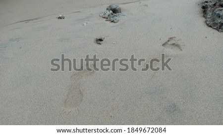 Someone's footprints on the beach sand.