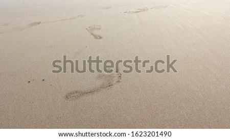 someone's footprints while walking along the beach.