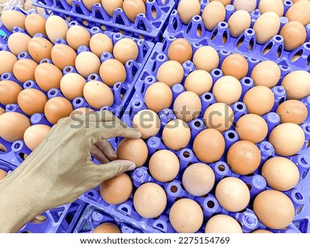 Someone's hand is selecting and buying raw egg in a supermarket.  Pile of fresh chicken egg in the market.