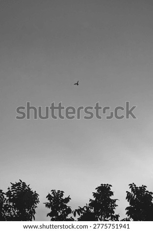 Sometimes freedom feels colourless without an aim