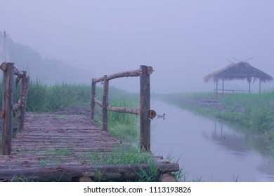   Sometimes you will never know the true value of a moment until it becomes a memory. fade in the mist