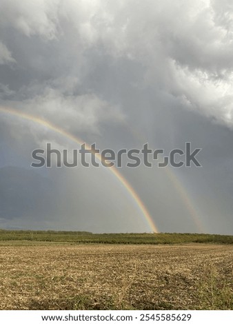 somewhere in the middle of nowhere rainbow