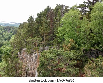 Somewhere in a mountain forest