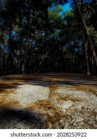somewhere to walk with your girlfriend xd