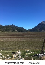 Somewhere in the world.