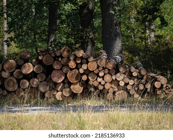 sommer on the farm stacked logs and bails of hay - Shutterstock ID 2185136933