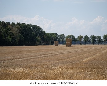sommer on the farm stacked logs and bails of hay - Shutterstock ID 2185136935
