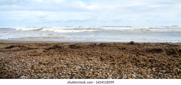 Somnath Temple Beach In Daylight