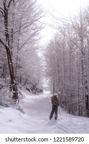 Somport, France. Cross Country Female Skiier Resting In The Middle Of A Full Of Snow Track With Trees At Each Side.