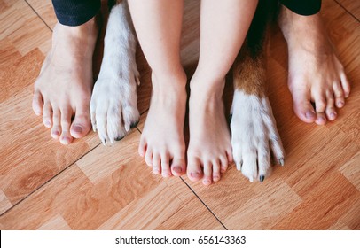 Son, Father And The Family Dog's Feet, Feet Best Friends And Dogs Foot, Human And Dog's Legs, Dog's Paw Feet Next To The Owner, Friendship, Boy, Dad And Dog Barefoot