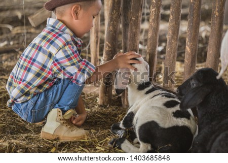 Similar – Image, Stock Photo Little baby cow feeding from milk bottle.