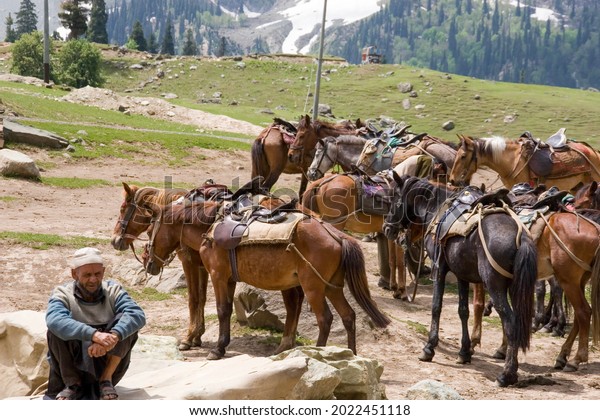 Sonamarg, India, 20 MAY 2006 Horse Herders in\
Kashmir Valley