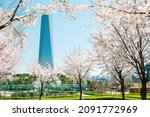 Songdo Central Park with cherry blossom in Incheon, Korea