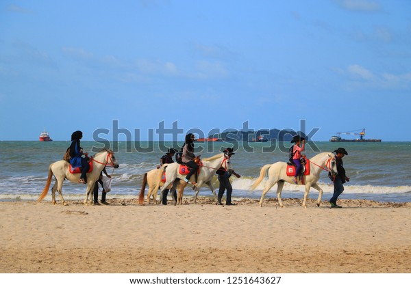 Girl sex horses in Fortaleza