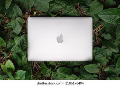 Apple Laptop Back Images Stock Photos Vectors Shutterstock