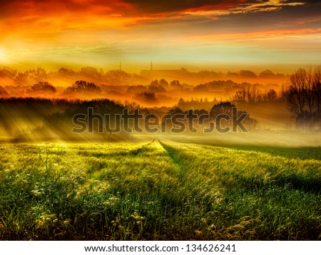 Similar – Morgens nebliger Fluss. Sommer nebliger Sonnenaufgang