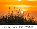 Sonnenuntergang am Ostseestrand Sellin auf der Insel Rügen in Mecklenburg-Vorpommern