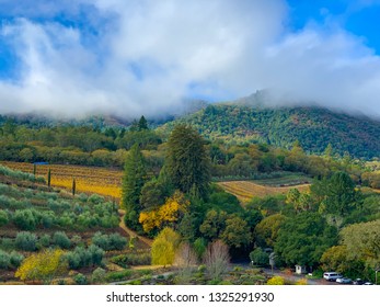 Sonoma, Ca Clouds Over Vineyard