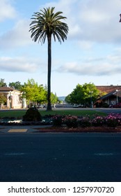 SONOMA, CALIFORNIA - MAY 13, 2018: A Quiet Afternoon In The Small Town Of Sonoma, California As You Look Out Of The City.