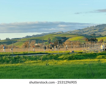 Sonoma, California, USA; 10,10,2024 : A group of young baseball players walk across a field as the sun sets behind the rolling hills, casting a soft glow over the landscape. - Powered by Shutterstock