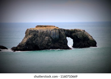 Sonoma County Coast, Goat Rock, CA