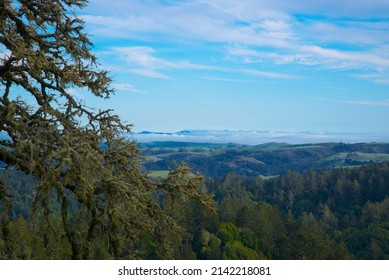 Sonoma County Green Valley With Clouds