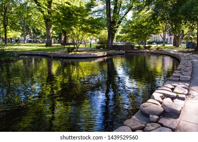 Sonoma Town Square Pond With Ducks