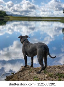 Sonoma Valley Regional Park