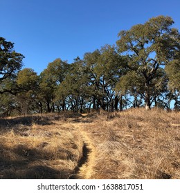 Sonoma Valley Regional Park California