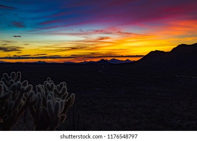 Sonoran Desert Sunset Teddy Bear Cholla Stock Photo 1176548797