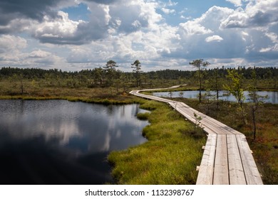 Soomaa National Park In Estonia