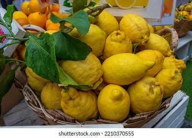 Sorrento Lemons. Italian Excellence. Exquisite, Bright Yellow In Color. Displayed In A Basket. Used To Make Exquisite Drinks Such As Limoncello Or Lemon Cream.
Sorrento. Italy
September 27, 2022