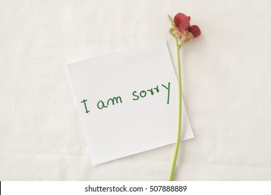 I Am Sorry Feeling Message Card And Red Little Flowers On Background White