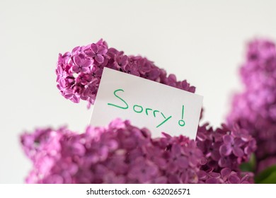 Sorry message