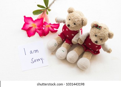 teddy bear with sorry message