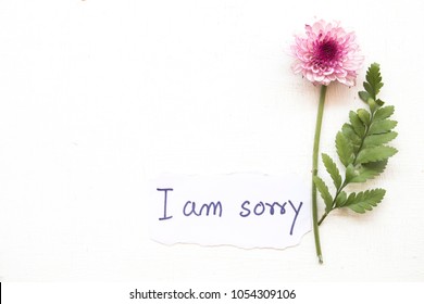 Royalty Free I Am Sorry Stock Images Photos Vectors Shutterstock