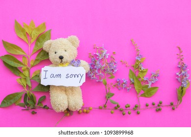 teddy bear with sorry message